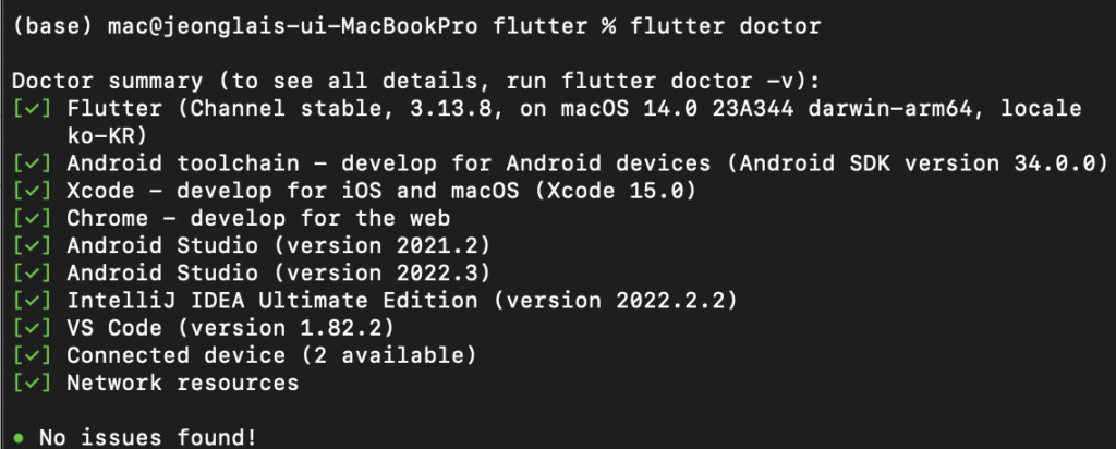 플러터 닥터 실행 성공
