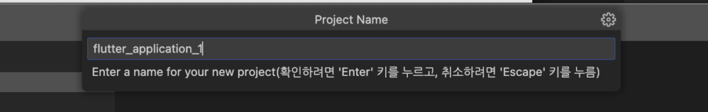 플러터 프로젝트 명 추가